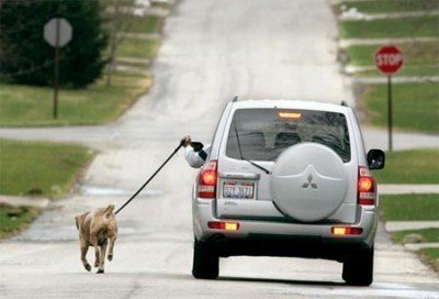El sedentarismo puede llegar a casos extremos como sacar al perro en coche